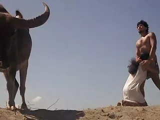পুরুষ সমকামী হট চোদা চুদি