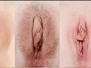 বড় সুন্দরী বাংলা চোদাচুদির মহিলা,