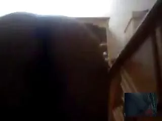 বাঁড়ার রস খাবার বাংলা দেশি চোদা চুদি